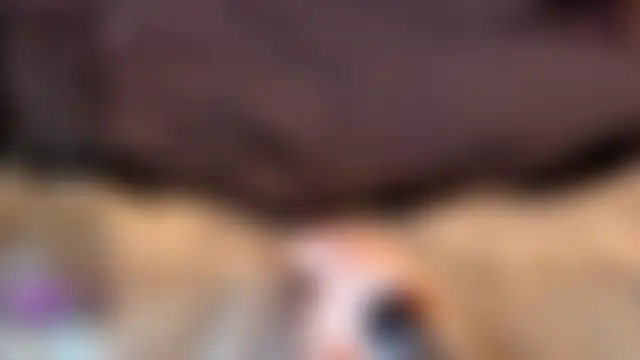 Amanitalis' Webcam Show