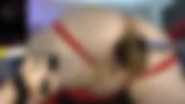 ivenxxxvain's Live Sex Cam Show