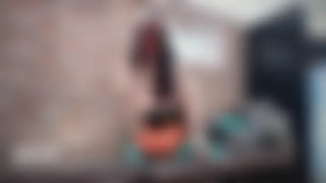 barfantasy's Live Sex Cam Show