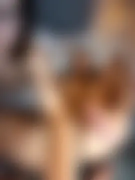 SweetieSinXXX's Webcam Show