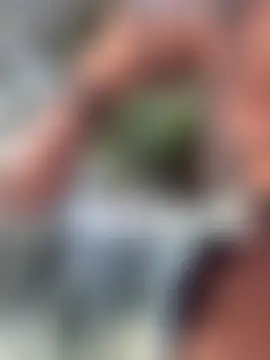 Ninabigtitied's Webcam Show