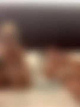 Mrsmoggy's Live Sex Cam Show