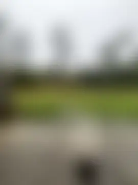 RinaErota's Webcam Show