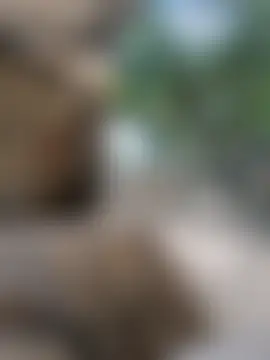 the_titis_outdoors' Webcam Show