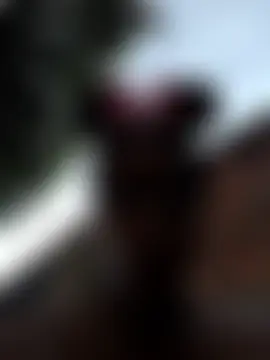 Fernanda30's Webcam Show