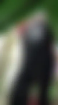 Angie_e's Webcam Show