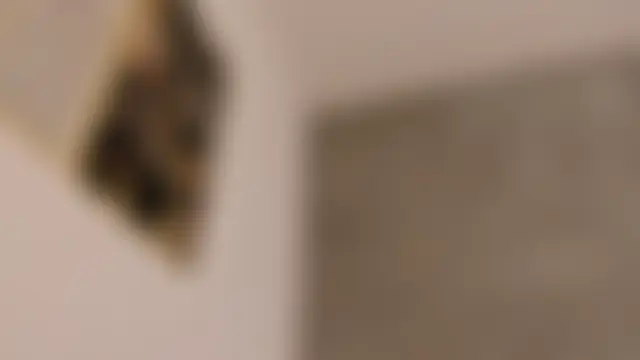 dylan_cross_'s Live Sex Cam Show