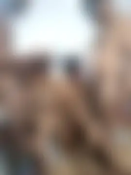 sexy_Family4's Webcam Show