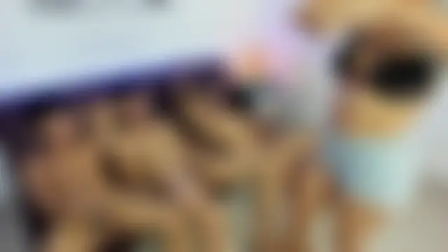 Crazy_nigth01's Live Sex Cam Show