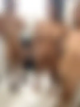 royalgirls_x's Live Sex Cam Show