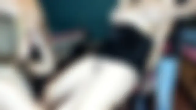 theorder-ofladys' Webcam Show