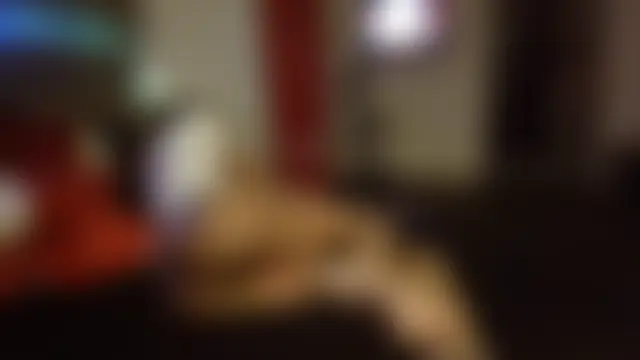 Opal_Rainbow's Webcam Show