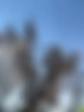 MiraReach's Live Sex Cam Show