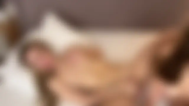 PlayUsSoftly's Webcam Show