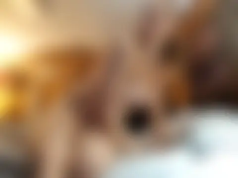 Ryan_and_Aurora's Live Sex Cam Show