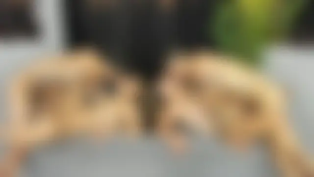 hotsatisfactionGGH's Live Sex Cam Show