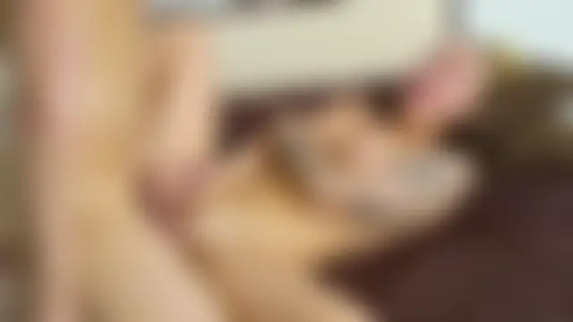 Hotel__California's Live Sex Cam Show