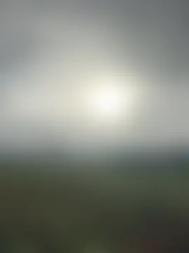 AvaFlowers6's Live Sex Cam Show