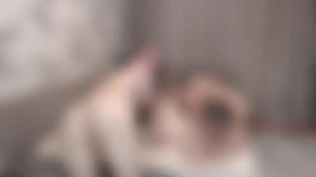 Lina_Love_Djosh's Live Sex Cam Show