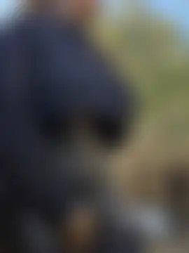 DarkDea's Live Sex Cam Show