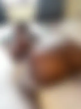 t-Booty_risky_'s Webcam Show