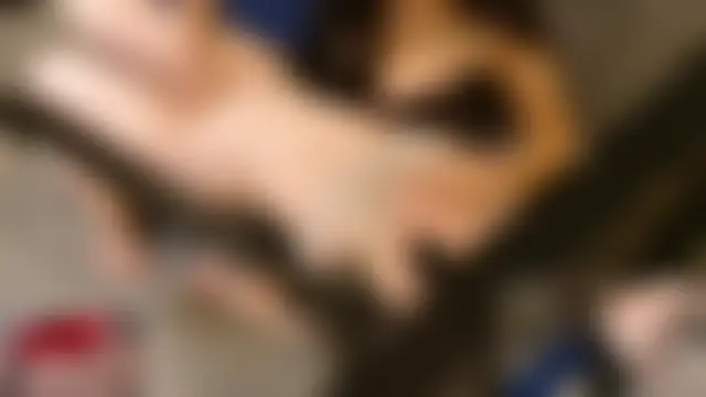 Stretch-man's Webcam Show