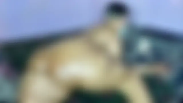 wilmaassylum's Webcam Show