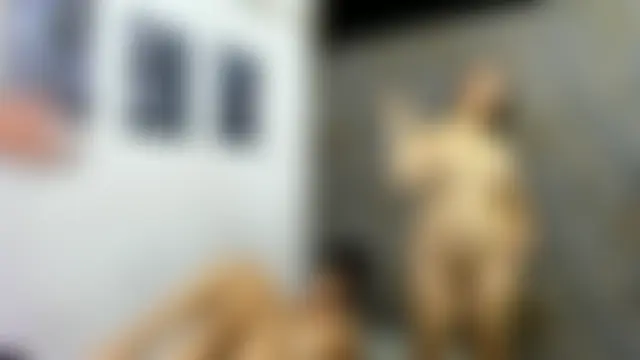 blueroom_party's Live Sex Cam Show