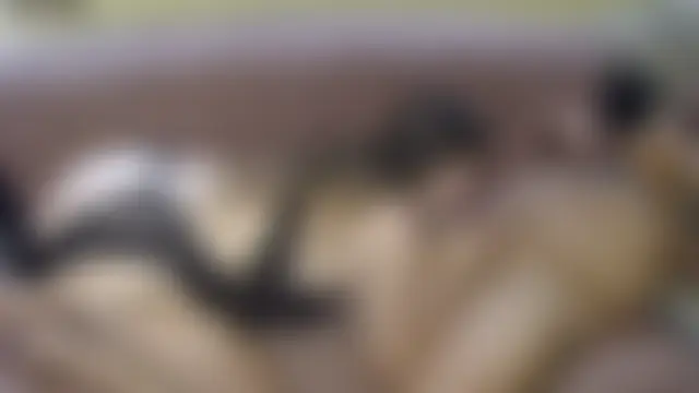 Kiciapl's Live Sex Cam Show