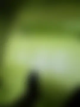 steffaa's Live Sex Cam Show