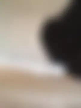 ijustturned18today's Live Sex Cam Show