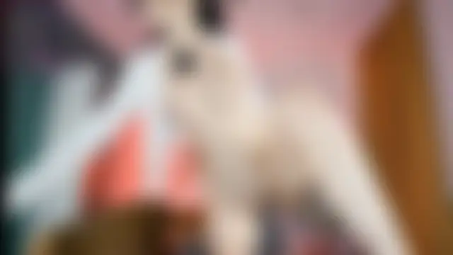 baeasian's Webcam Show