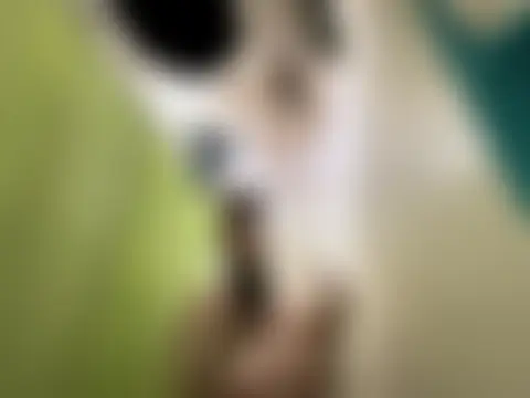 Snowbunnycake_131's Webcam Show