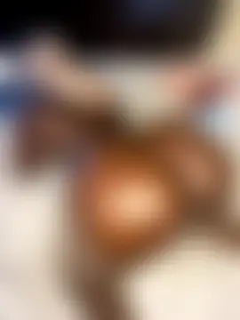 t-Booty_risky_'s Webcam Show