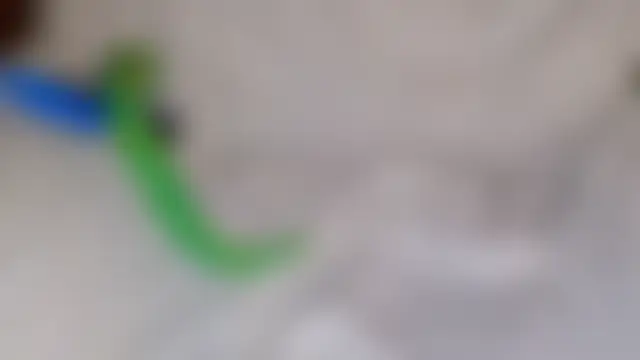 FreyaFucksFans' Live Sex Cam Show