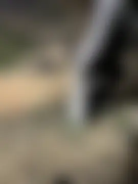 royalgirls_x's Webcam Show