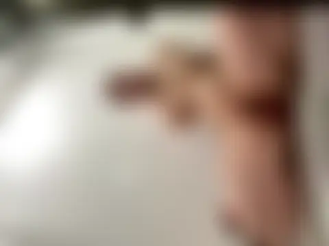 elliepixie's Webcam Show