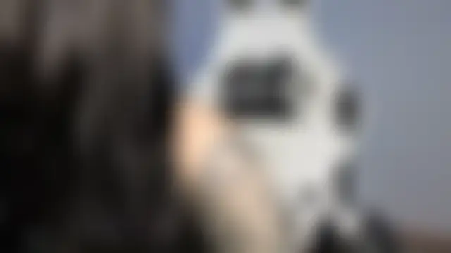 eeriegemini's Live Sex Cam Show