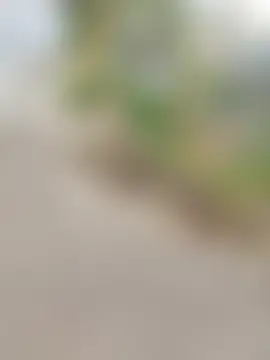 Labellasex's Webcam Show