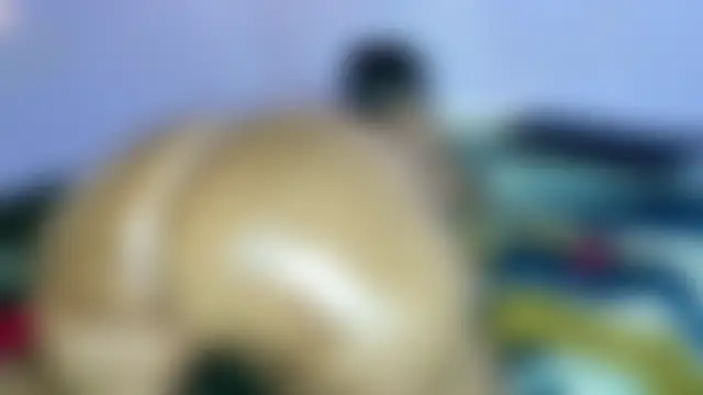 wilmaassylum's Webcam Show