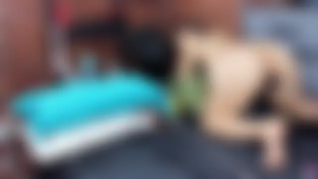 Couple_Gold69's Webcam Show