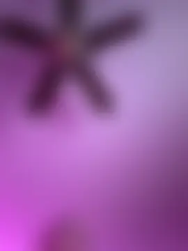 QueenNuttCollector's Webcam Show