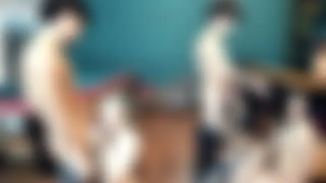 theorder-ofladys' Webcam Show