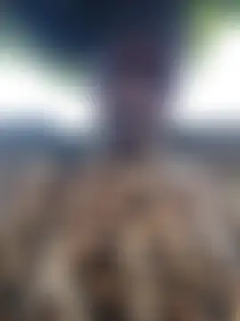 holygrail001's Webcam Show