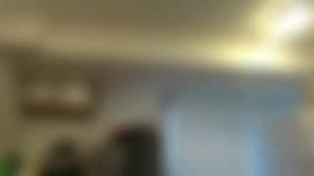 dixielover1229's Webcam Show