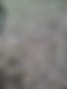 MiriandZacki's Live Sex Cam Show