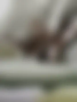 Anamika_Kapoor's Live Sex Cam Show