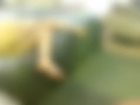 realninafame's Webcam Show