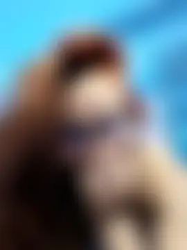 Divinna's Live Sex Cam Show