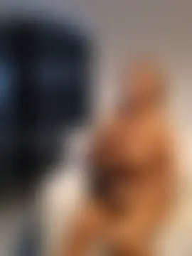 sissytrainz's Live Sex Cam Show